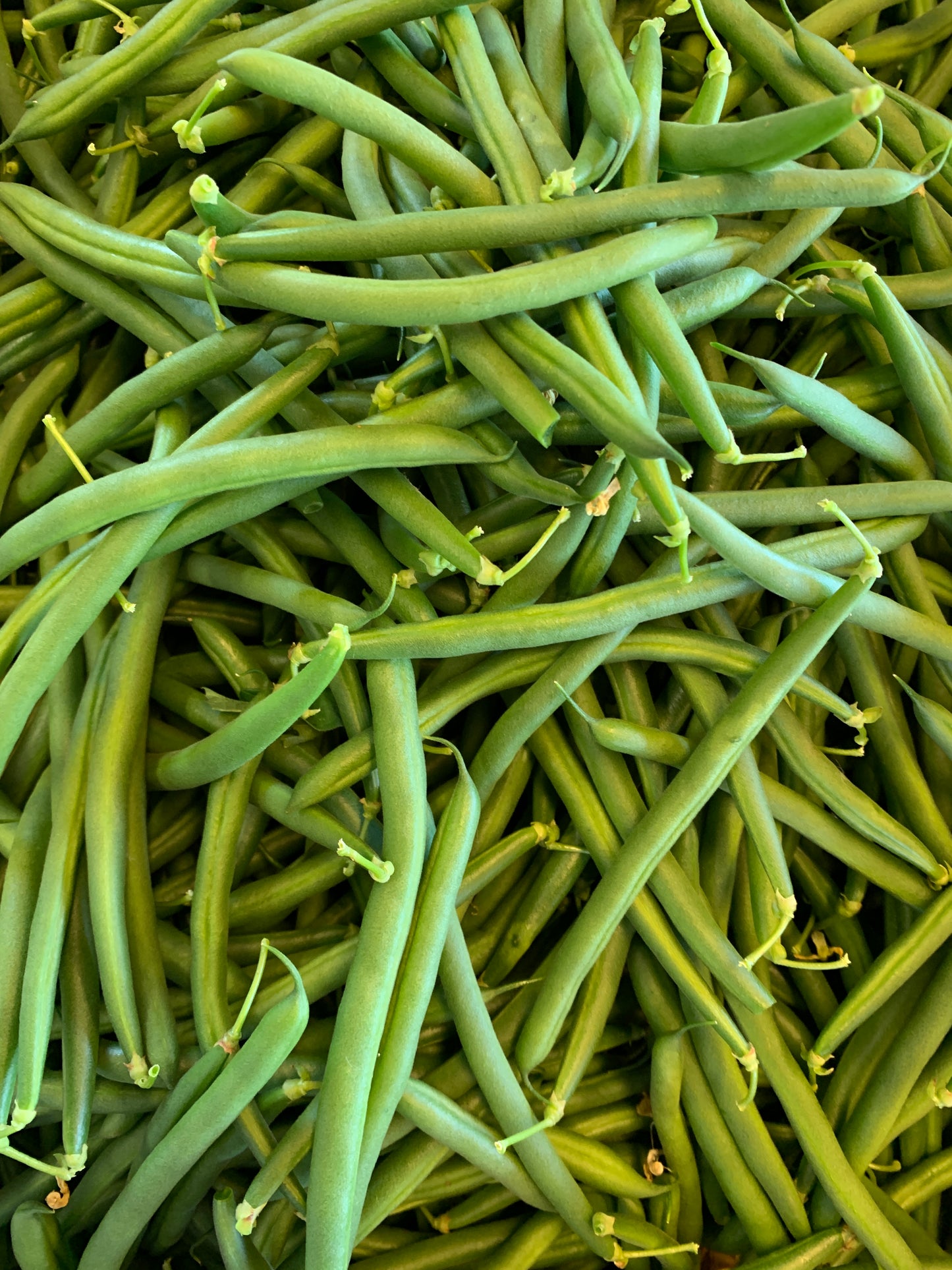Green beans