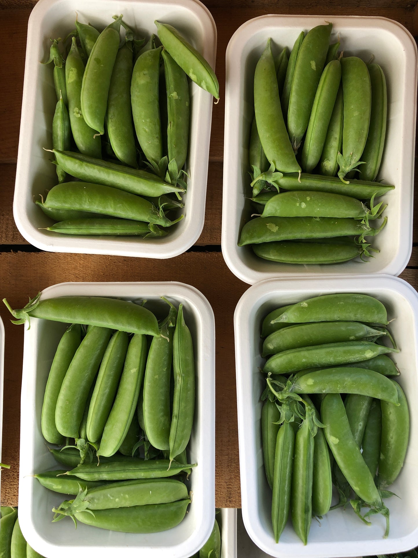 Peas - Snap Peas