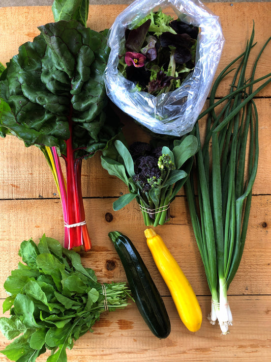 Big Box subscription - Full season payment (5% early bird discount code in the description)