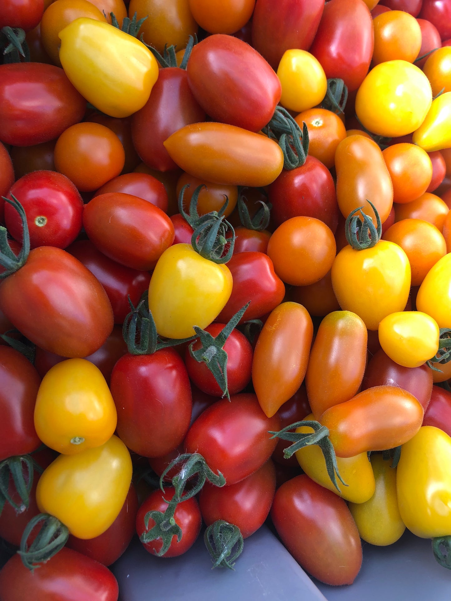 Tomato - Cherry - 0.65 lbs